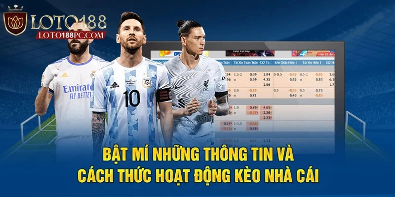 Hệ thống bảng kèo minh bạch và đảm bảo sự công bằng cho khách hàng